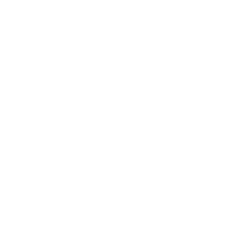 pizza_icon.png